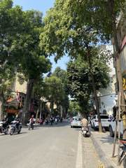A Hanoi road shaded by tall trees